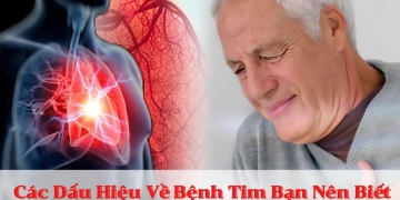 Bệnh Tim Là Gì?